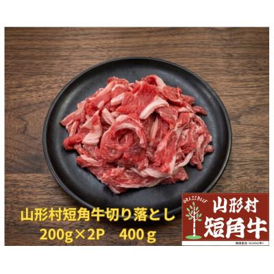 ふるさと納税 久慈市 国産飼料100%で育てた 山形村短角牛「切り落とし200g×2点セット」