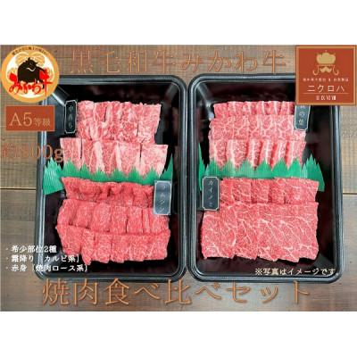 ふるさと納税 豊橋市 黒毛和牛みかわ牛A5等級 希少部位 食べ比べ焼肉セット 約1kg