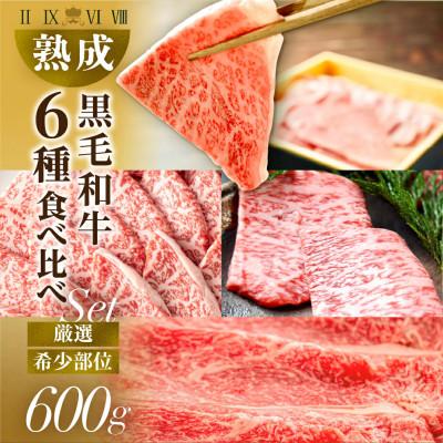ふるさと納税 豊橋市 黒毛和牛(A4〜A5等級みかわ牛) 部位おまかせ 100g×6部位