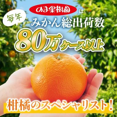 ふるさと納税 今治市 のま果樹園のいよかん(約1kg)バラ詰め
