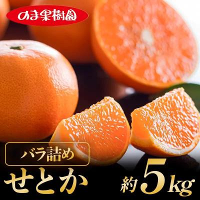 ふるさと納税 今治市 のま果樹園のせとか(約5kg)バラ詰め
