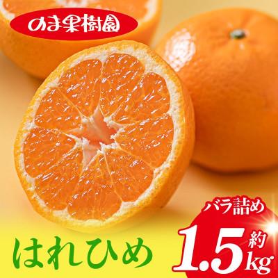 ふるさと納税 今治市 のま果樹園のはれひめ(約1.5kg)バラ詰め