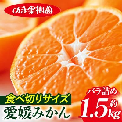 ふるさと納税 今治市 のま果樹園の愛媛みかん(約1.5kg)バラ詰め