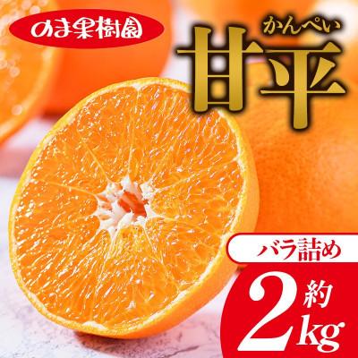 ふるさと納税 今治市 のま果樹園の甘平(約2kg)バラ詰め