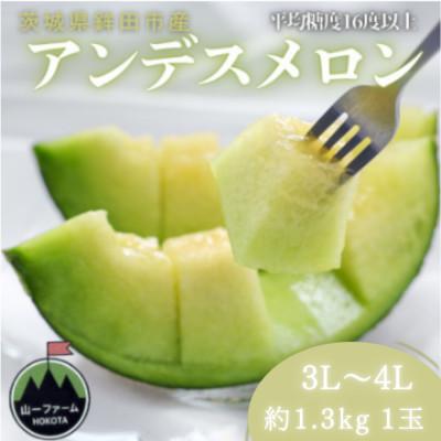 ふるさと納税 茨城県 [先行受付]令和9年4月より順次発送 茨城県鉾田市 山一ファーム アンデスメロン 3L〜4L・1玉