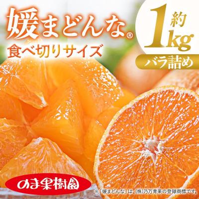 ふるさと納税 今治市 のま果樹園の媛まどんな(約1kg)バラ詰め