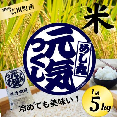 ふるさと納税 広川町 [福岡県産] 元気つくし(精米) 5kg(広川町)