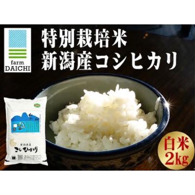 ふるさと納税 上越市 [特別栽培米 新潟産コシヒカリ 白米]新潟県認証米 令和7年産 2kg