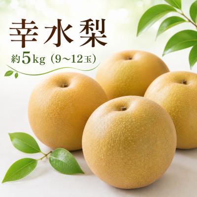ふるさと納税 広川町 [福岡県広川町産]幸水梨 約5kg(9〜12玉)みずみずしい旬の梨(広川町)