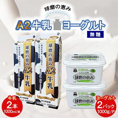 ふるさと納税 湯前町 球磨の恵み「A2牛乳」と「球磨の恵みヨーグルト(砂糖不使用)」セット(湯前町)