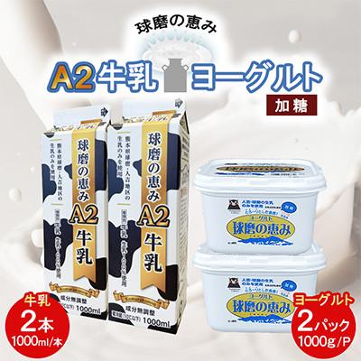 ふるさと納税 湯前町 球磨の恵み「A2牛乳」と「球磨の恵みヨーグルト(加糖)」セット(湯前町)