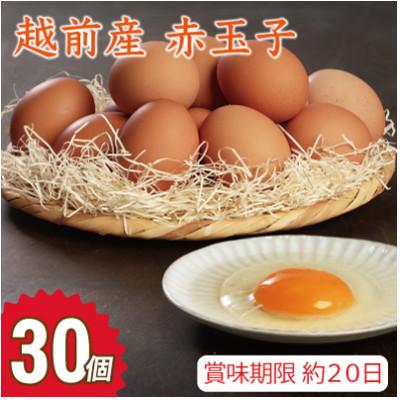 ふるさと納税 越前市 越前産 赤玉子 30個(27個+割れ補償3個入り)