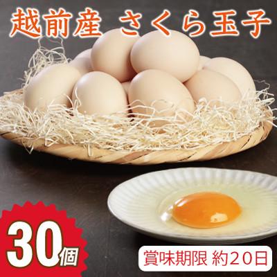 ふるさと納税 越前市 越前産 さくら玉子 30個(27個+割れ補償3個入り)