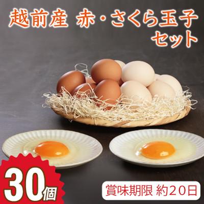 ふるさと納税 越前市 越前産 赤玉子とさくら玉子セット 30個(27個+割れ補償3個入り)