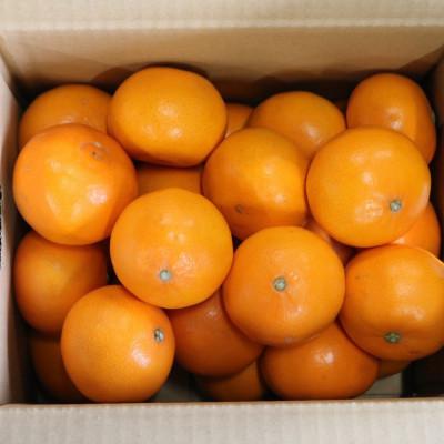 ふるさと納税 印南町 [2027年2月より順次発送] 和歌山県産 せとか 約5kg 秀品 [まごころ手選別]
