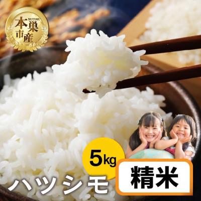 ふるさと納税 本巣市 [新米先行受付]令和8年産 ハツシモ 5kg 精米