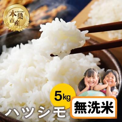 ふるさと納税 本巣市 [新米先行受付]令和8年産 ハツシモ 5kg 無洗米