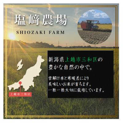 ふるさと納税 上越市 【10月中旬より順次出荷】令和8年産 新潟県 上越市産 ミルキークィーン 5kg 白米 精米 |  | 01