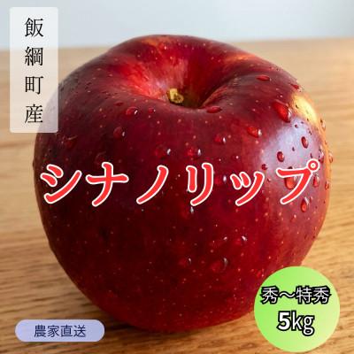 ふるさと納税 飯綱町 りんご シナノリップ 秀〜特秀 2026年8月中旬より順次発送 5kg