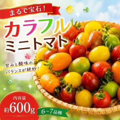 ふるさと納税 阿蘇市 まるで宝石 カラフルミニトマト〜ふるさとセット〜 約600g