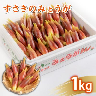 ふるさと納税 須崎市 秀品 A等級 すさきのみょうが 1kg