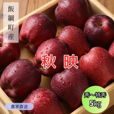 ふるさと納税 飯綱町 りんご 秋映 秀〜特秀 2026年10月より順次発送 5kg
