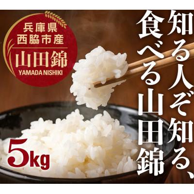 ふるさと納税 西脇市 兵庫県産[山田錦]令和7年産・ 白米 5kg (5kg×1袋)