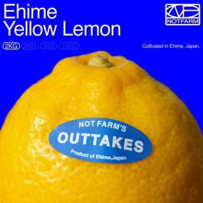 ふるさと納税 八幡浜市 [OUTTAKES]訳あり レモン2kg 愛媛県産EHIME YELLOW LEMON[99-10]