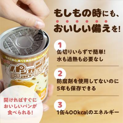ふるさと納税 豊橋市 5年保存 缶入りパン「パンカン!」チョコチップ味6缶入り 防災の備蓄に