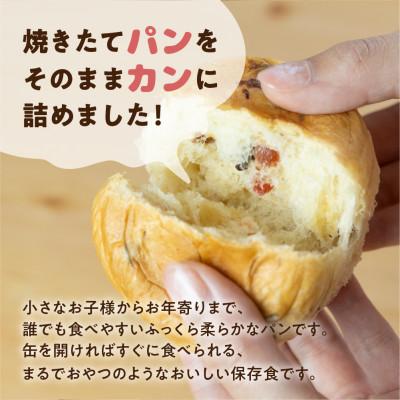 ふるさと納税 豊橋市 5年保存 缶入りパン「パンカン!」レーズン味6缶入り 防災の備蓄に
