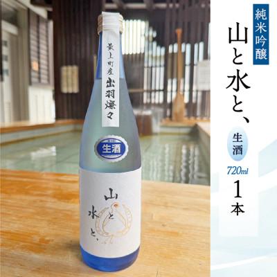 ふるさと納税 最上町 [山形県最上町限定流通酒]最上町の地酒 純米吟醸「山と水と、」生酒 720ml 1本
