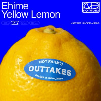 ふるさと納税 八幡浜市 [OUTTAKES]訳あり レモン3kg 愛媛県産 EHIME YELLOW LEMON[99-9]