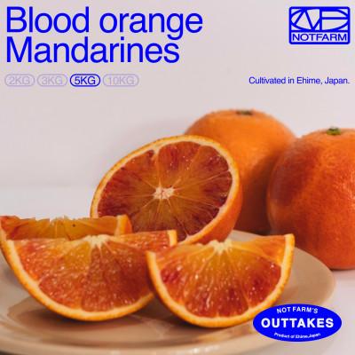 ふるさと納税 八幡浜市 [OUTTAKES]訳あり ブラッドオレンジ5kg 愛媛県産 BLOOD ORANGE[99-2]