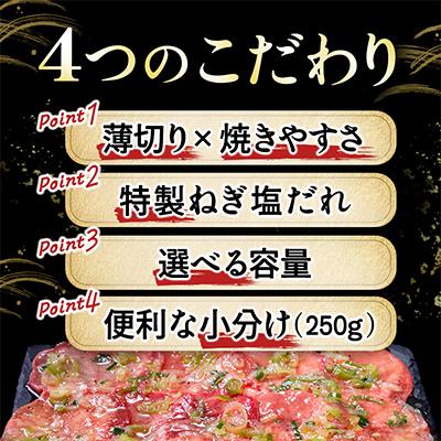 ふるさと納税 宮古市 【訳あり】薄切りネギ塩牛タン1.0kg　タン中・タン元使用　250g小分け　焼きやすい |  | 02