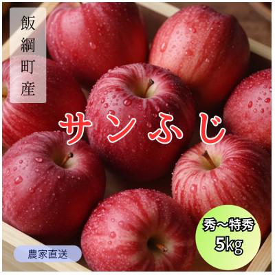 ふるさと納税 飯綱町 りんご サンふじ 秀〜特秀 2026年12月上旬より順次発送 5kg