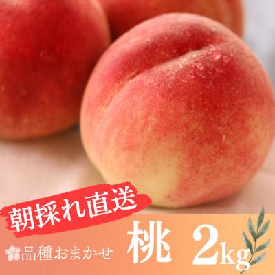 ふるさと納税 鏡石町 朝採れ直送!桃 2kg(6玉〜10玉)品種はおまかせ 果汁あふれる旬の桃