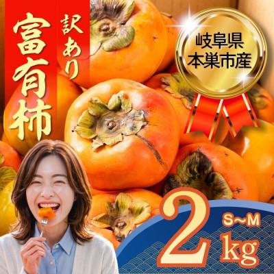 ふるさと納税 本巣市 [訳あり]富有柿 2kg(約10個〜15個入り) くどみフルーツ農園