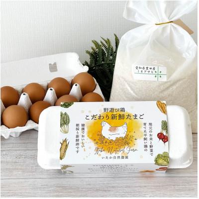ふるさと納税 豊田市 おいしい新鮮たまご2パック(20個)&amp;愛知県産おいしいブランド米(2kg)セット