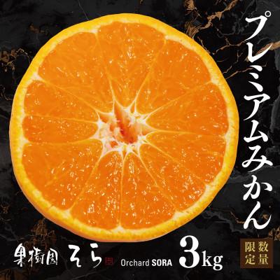 ふるさと納税 八幡浜市 天空の果樹園から届く そらみかんプレミアムシリーズ (3kg)[95-21]