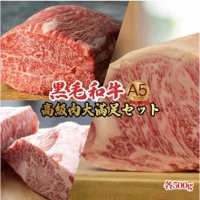 ふるさと納税 河合町 黒毛和牛 A5 ブロック肉 食べ比べセット 1.5kg モモ・ヒレ・サーロイン