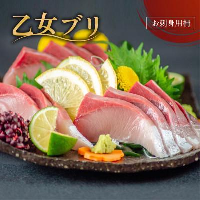ふるさと納税 須崎市 乙女 ブリ 800~1000g お刺身用 柵 | 