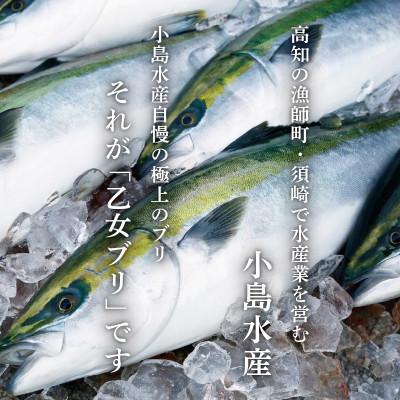 ふるさと納税 須崎市 乙女 ブリ 800~1000g お刺身用 柵 |  | 02