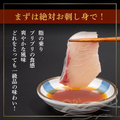 ふるさと納税 須崎市 乙女 ブリ 800~1000g お刺身用 柵 |  | 03