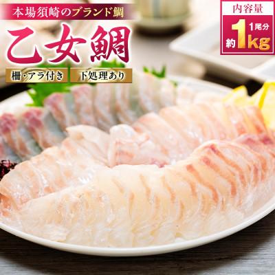ふるさと納税 須崎市 【本場須崎のブランド】 乙女鯛 刺身 柵 アラ付き 1尾 セット　900g〜1kg | 