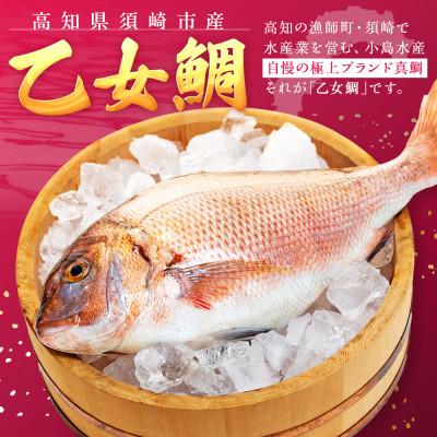 ふるさと納税 須崎市 【本場須崎のブランド】 乙女鯛 刺身 柵 アラ付き 1尾 セット　900g〜1kg |  | 01