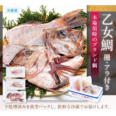 ふるさと納税 須崎市 【本場須崎のブランド】 乙女鯛 刺身 柵 アラ付き 1尾 セット　900g〜1kg |  | 03