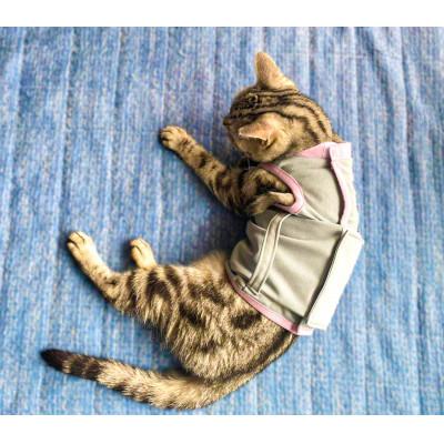ふるさと納税 豊中市 猫の介護服CARETECT(R) Sサイズ