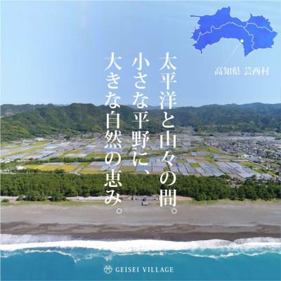ふるさと納税 芸西村 令和8年産 新米 芸西米コシヒカリ15kg【KNK014-R8】 |  | 02