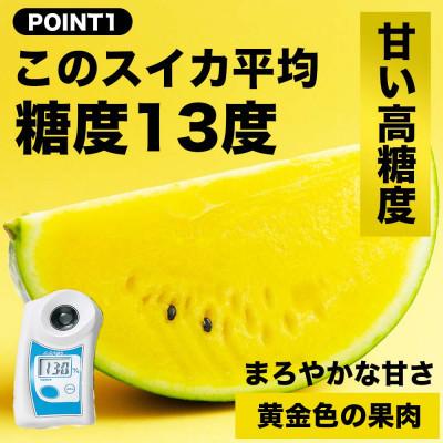 ふるさと納税 山鹿市 【先行予約】TVで紹介 高糖度の金色のすいか