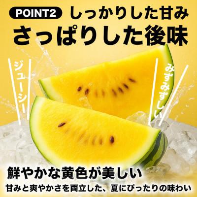 ふるさと納税 山鹿市 【先行予約】TVで紹介 高糖度の金色のすいか